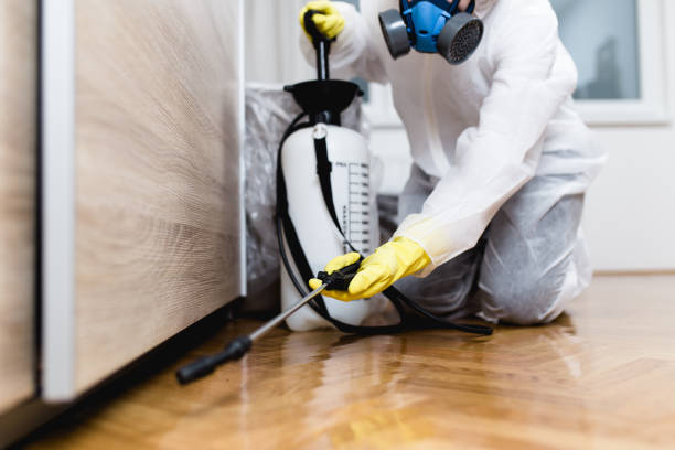 Best Ant Control Services  in Blakely, GA