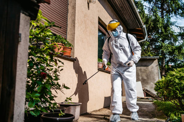 Best Pest Control Cost  in Blakely, GA