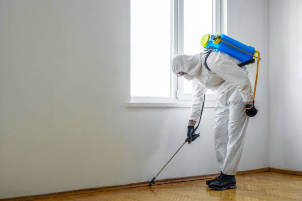 Best Wasp Removal Services  in Blakely, GA