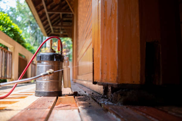 Best Insect Control  in Blakely, GA