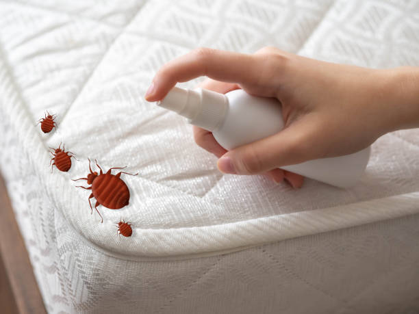 Best Flea Control Services  in Blakely, GA