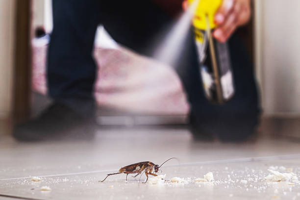 Best Pest Control for Businesses  in Blakely, GA