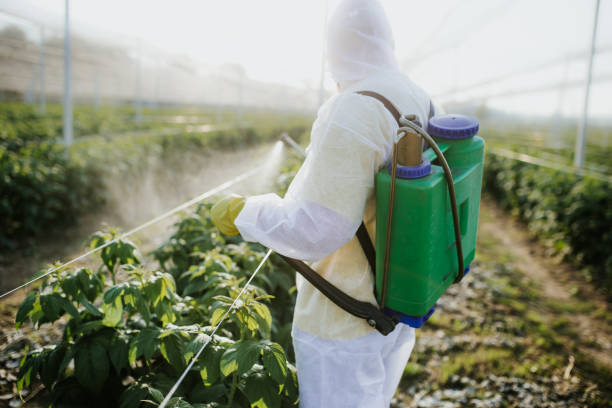 Best Pest Control Cost  in Blakely, GA